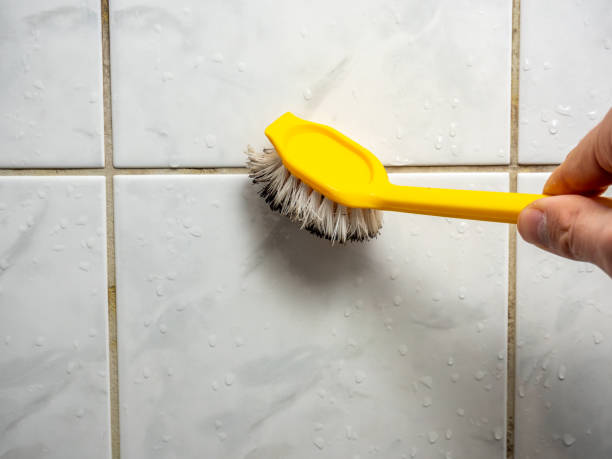 Best Best Mold Removal Companies  in West Union, IA