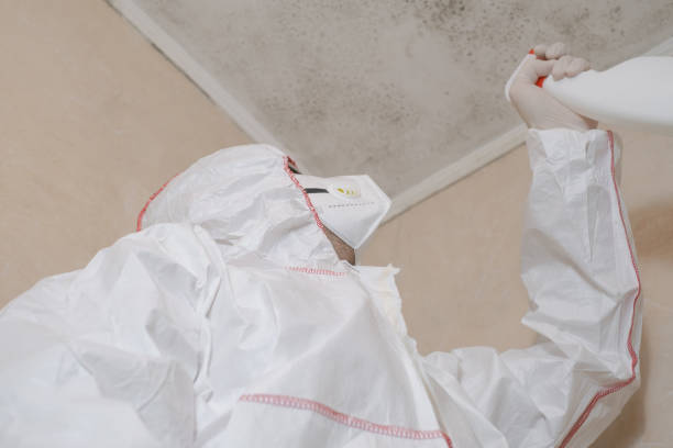 Best Mold Testing  in West Union, IA
