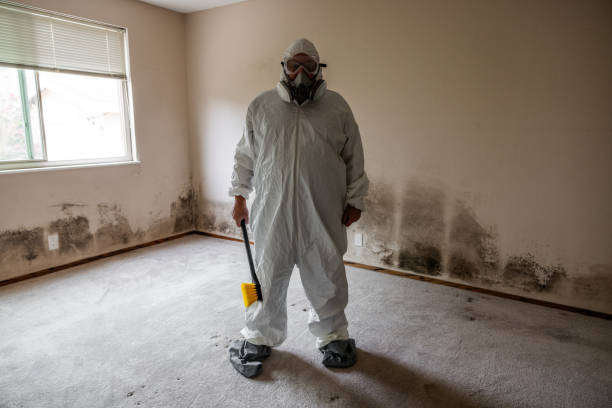 Crawl Space Mold Removal in West Union, IA